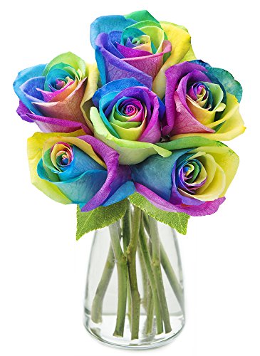 Yellow, Blue, Green, Purple, Pink