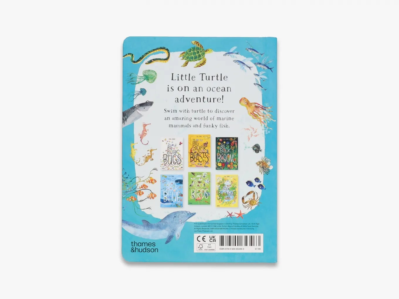 Little Turtle's Book of the Blue - The Big Book Series | Ocean Exploration Storybook for Kids | Perfect for Bedtime Reading & Classroom Learning