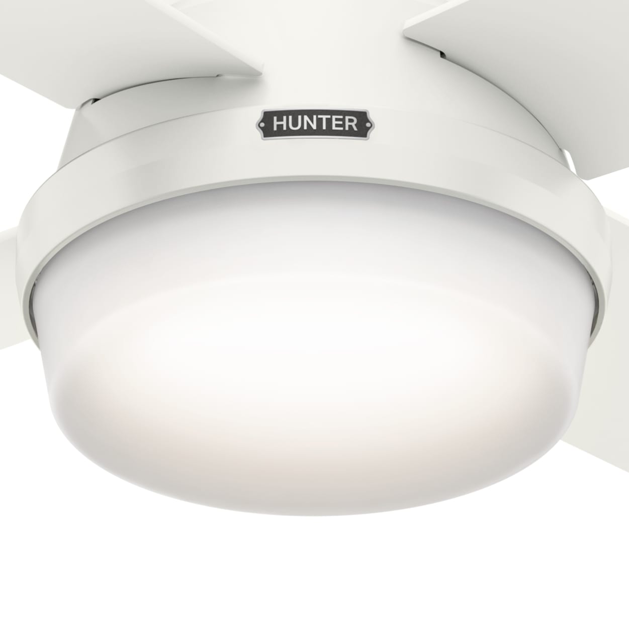 Hunter 44 Inch Dempsey Low Profile Ceiling Fan with Light Kit, Fresh White Finish - Perfect for Bedrooms, Living Rooms and Indoor Spaces