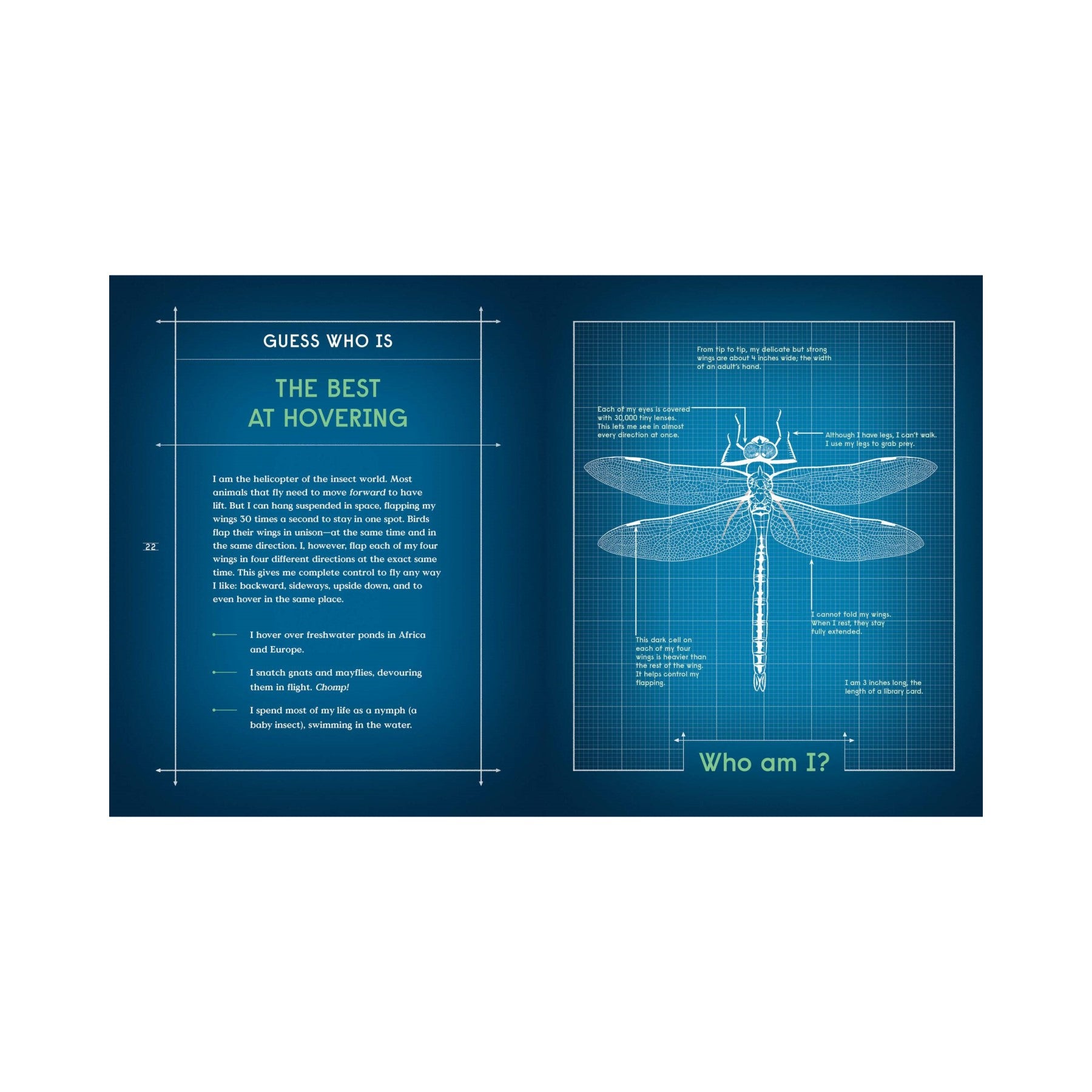 Book of Flight - Aviation History & Aircraft Guide | Perfect for Pilots, Enthusiasts & Travelers