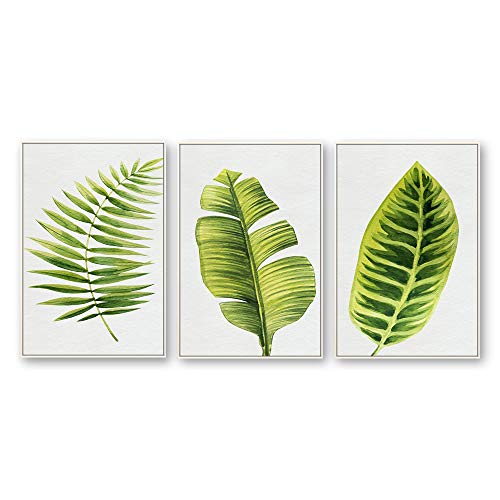 Plants-1909-n22