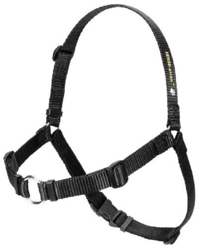 SENSE ation Dog Harness - Adjustable No-Pull Pet Vest with Reflective Strips, Soft Padding for Small Medium Large Dogs (Multiple Colors) - Perfect for Walking, Running, Hiking & Outdoor Adventures