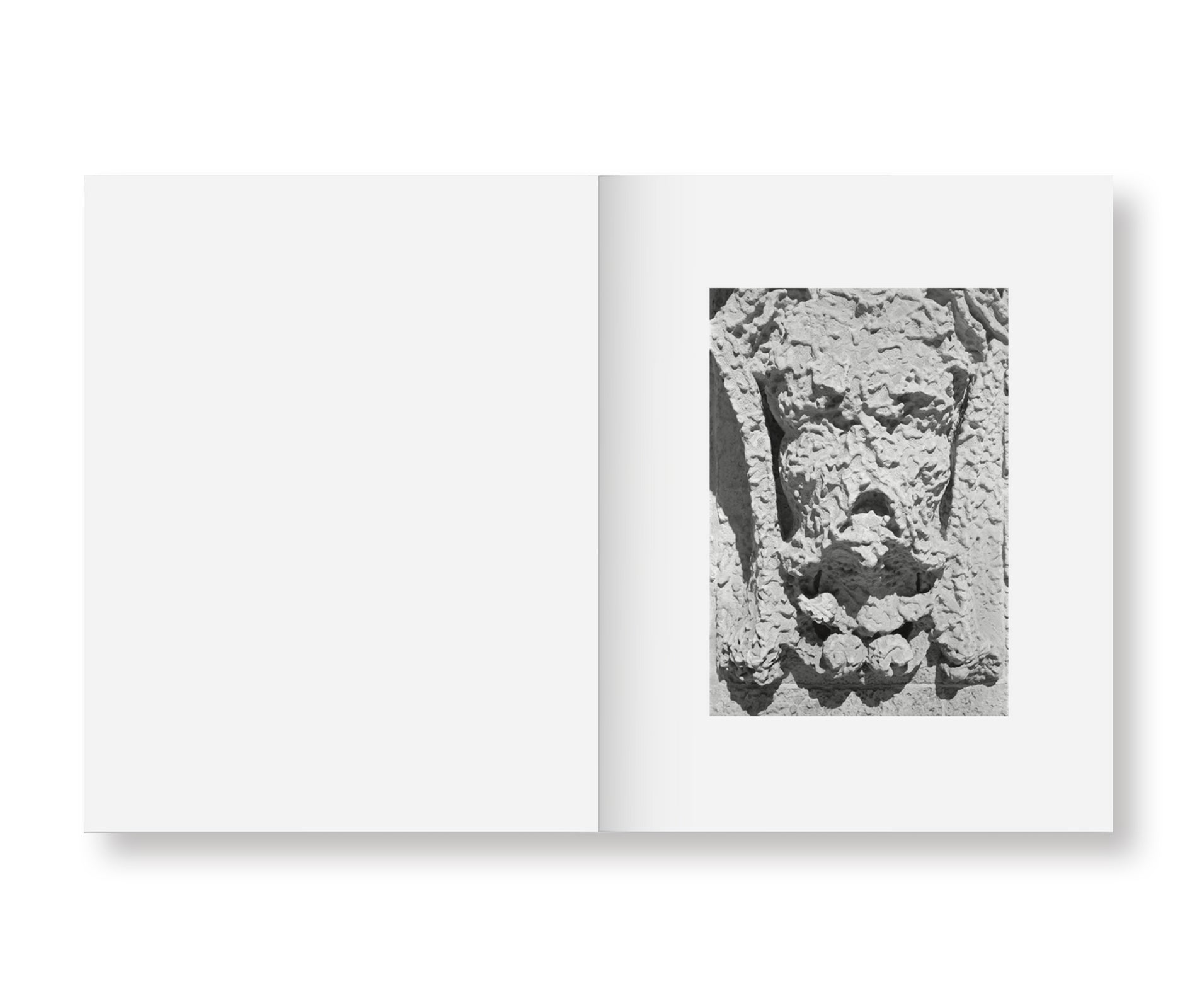 INSIEME by Irina Rozovsky & Mark Steinmetz - Fine Art Photography Book - Perfect for Art Collectors, Photography Enthusiasts & Home Decor