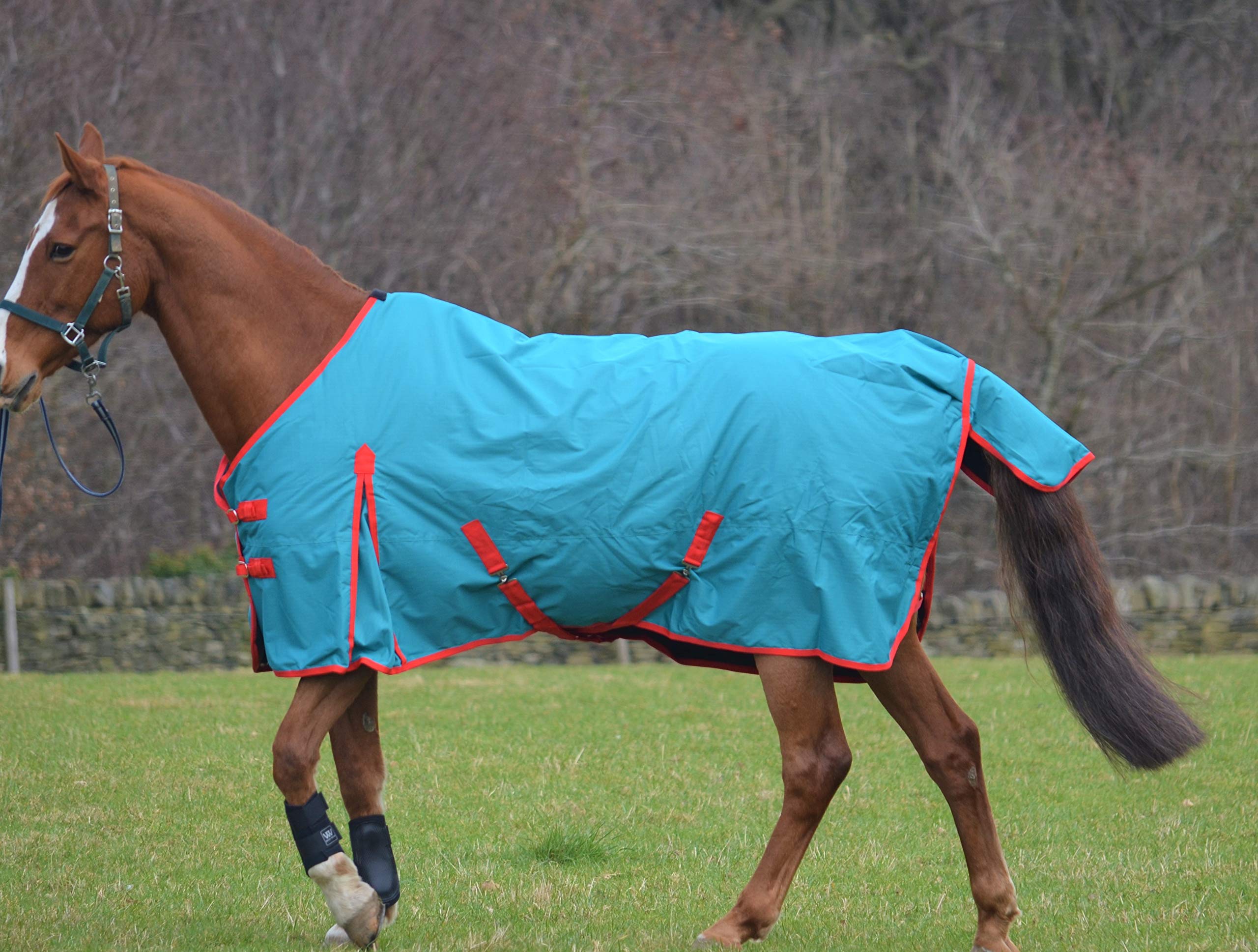 Lightweight 100g Fill Waterproof Turnout Rug for Horses & Shetland Ponies - Perfect for Outdoor Riding, Stable Use & All-Weather Protection