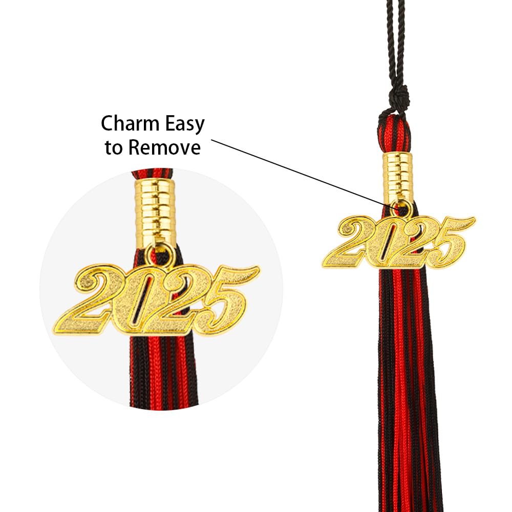 2025 Graduation Tassel - Red & Black Graduation Cap Tassel with Gold 2025 Charm, Graduation Hat Decorations & Gifts for Class of 2025 - Perfect for Graduation Ceremonies, Parties & Photo Props