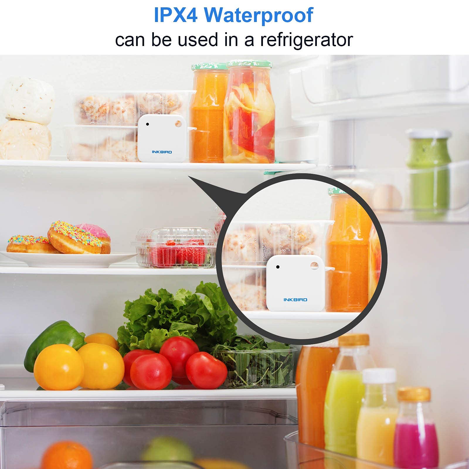 Inkbird IBS-P01R Wireless Pool Thermometer & IBS-TH2 Freezer Bluetooth Temperature Sensor - Smart Remote Monitoring for Swimming Pools, Refrigerators & Freezers - Perfect for Home, Restaurant and Commercial Use