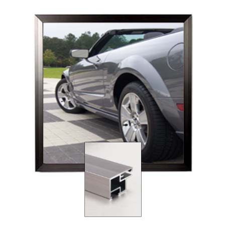 16x24 Poster Frame - Premium Carbon Steel SwingFrame for Art, Photos & Posters - Perfect for Home, Office & Gallery Displays
