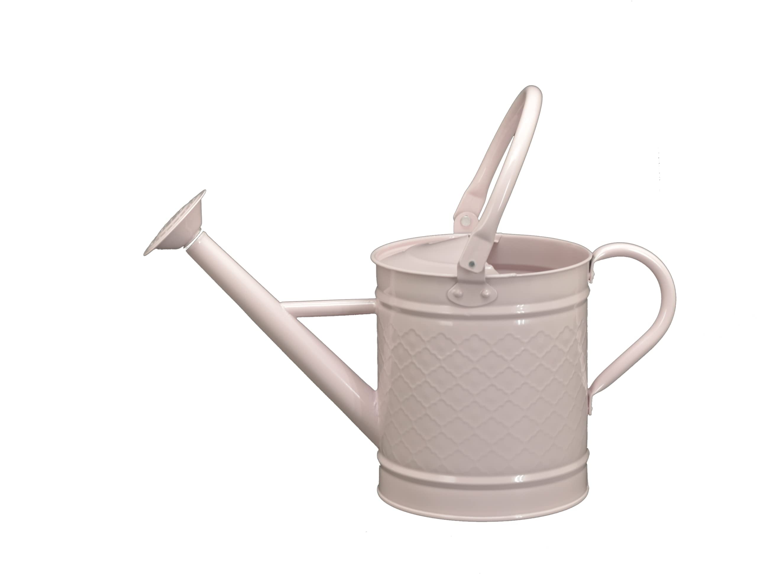 HORTICAN 1 Gallon Metal Watering Can with Removable Spout - Rustic Farmhouse Style Indoor Outdoor Plant Watering Can for Garden, Patio & Houseplants