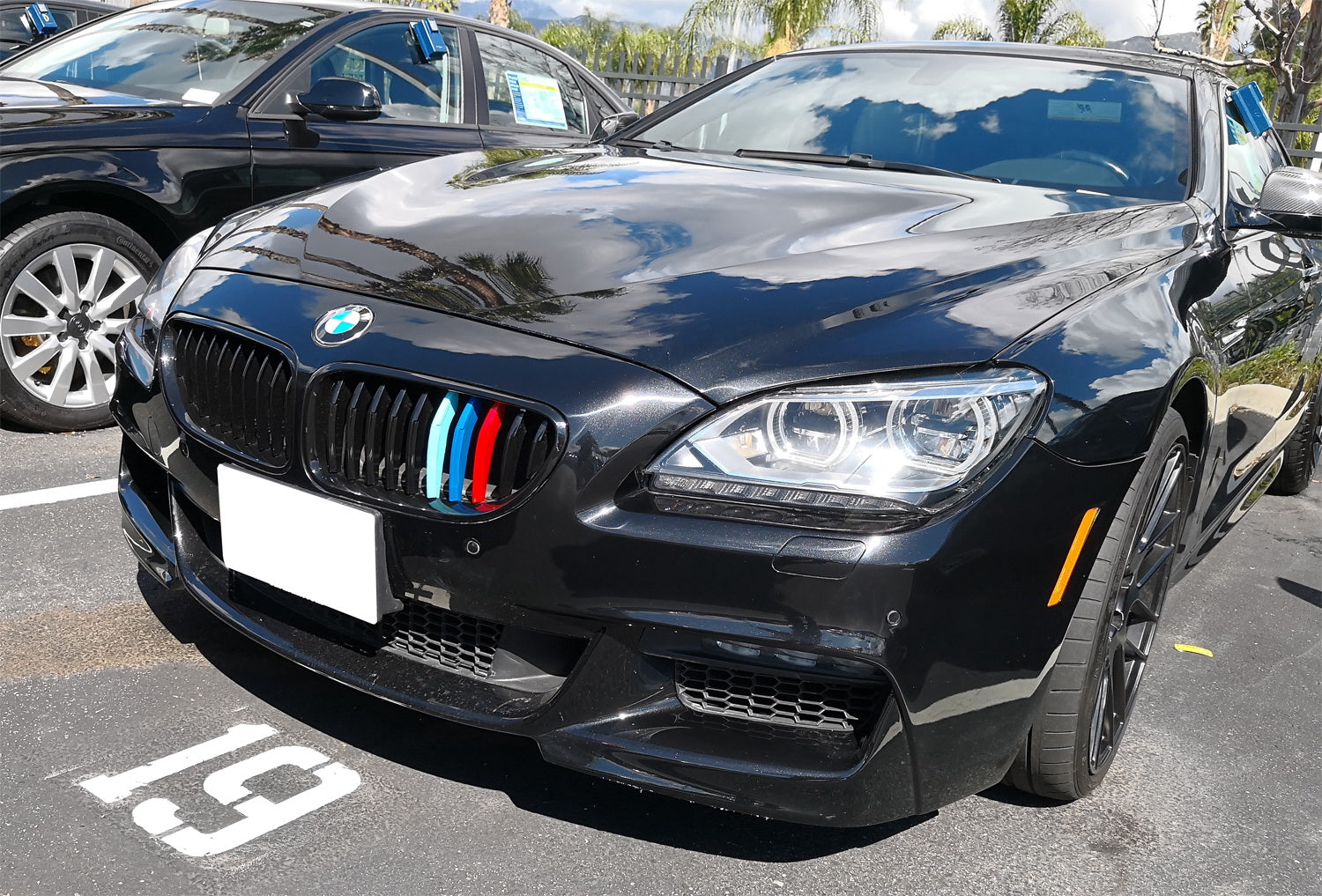 BMW G32 6 Series (2018+) M Color Grille Insert Trims - 9 Standard Grill Beams - Upgrade Your Front Grille for Enhanced Style & Performance - Perfect for Car Enthusiasts & BMW Owners