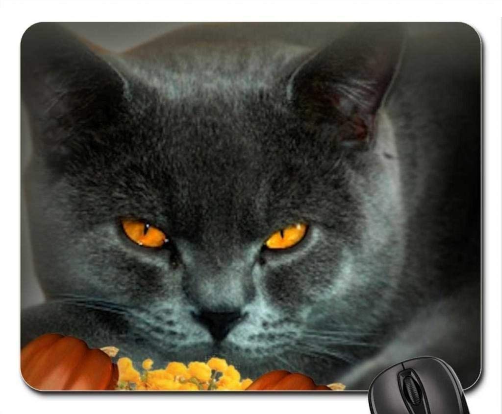 Black Cat Autumn Mouse Pad - Cute Cat-Themed Gaming Mousepad for PC & Laptop - Perfect for Office, Gaming & Home Use