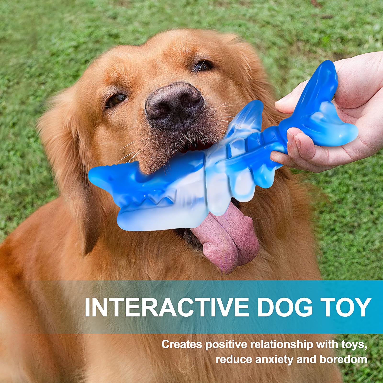 Durable PETSTA Dog Chew Toys for Aggressive Chewers - Tough Chew Toys for Large Dogs | Playtime & Training