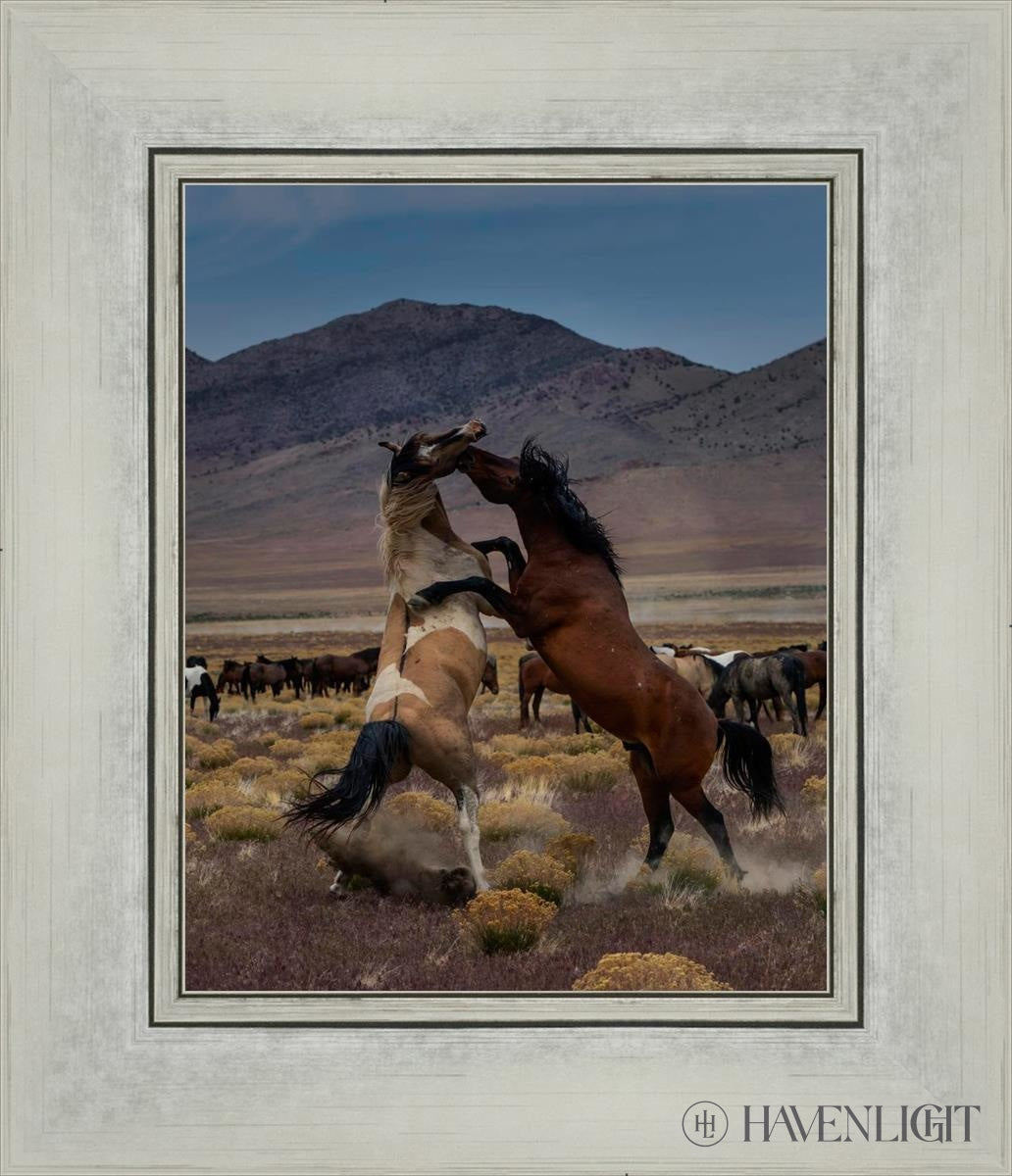 Desert Duel 1 by Greg Sargent - Western Adventure Novel for Adults | Perfect for Book Clubs, Gifts & Western Fiction Fans