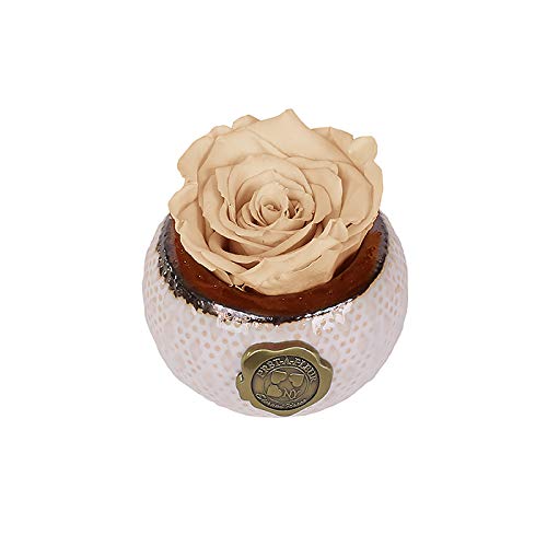 Luxury Long Lasting Preserved Roses in Gift Box - Mini Soho 3