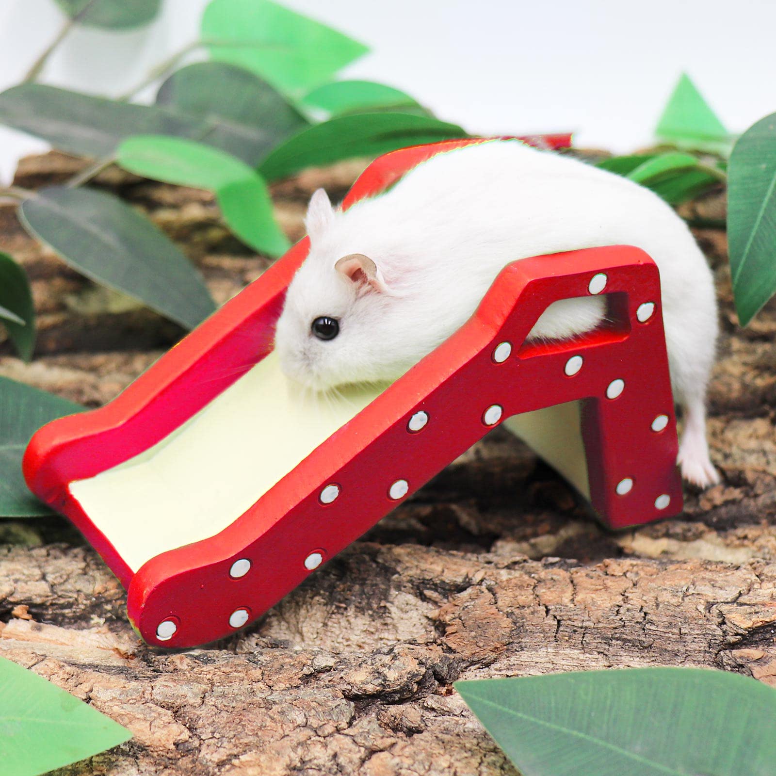 Hermit Crab Climbing Ladder Bridge - Durable Resin Reptile Climbing Toy for Small Pets - Cage & Tank Accessory for Hermit Crabs, Hamsters, Rats - Perfect for Climbing Exercise & Habitat Enrichment