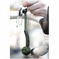 Kikkerland Knot Survival Cord - 7-in-1 Paracord Bracelet for Outdoor Camping, Hiking & Emergency Preparedness - Perfect for Survival Kits, Gear & Bushcraft Essentials
