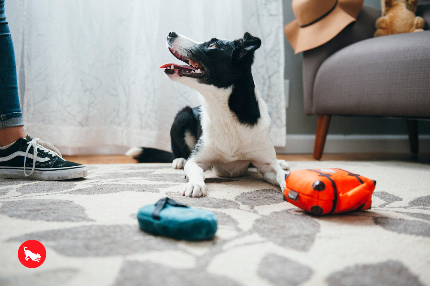 Globetrotter Plush Dog Toy - La Maleta Travel-Themed Chew Toy for Dogs | Pet P.L.A.Y. | Perfect for Travel, Playtime & Cuddling