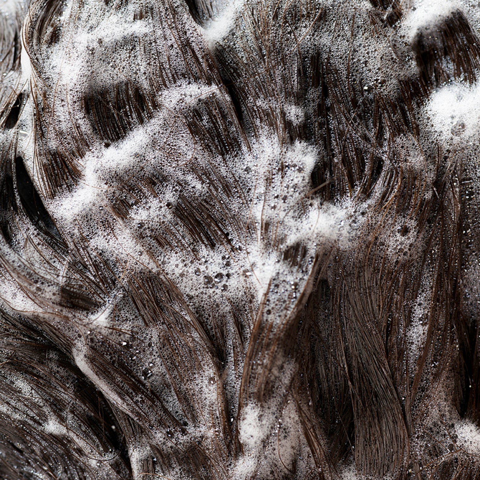 Signature Shampoo for All Hair Types - Moisturizing & Volumizing Hair Care - Perfect for Daily Use & Salon-Quality Results at Home
