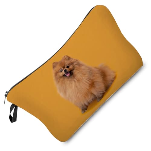 Pomeranian 04