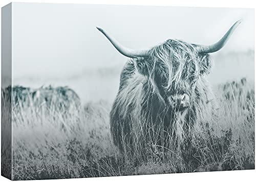 Bs21-2105-animal-fo01