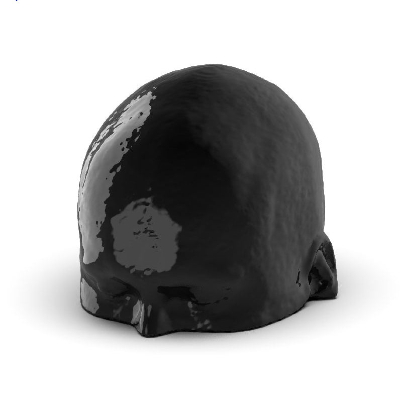 CTA AVM Head Phantom for CT Scan & X-Ray Training - Medical Imaging Practice, Radiology Education & Diagnostic Testing Simulation