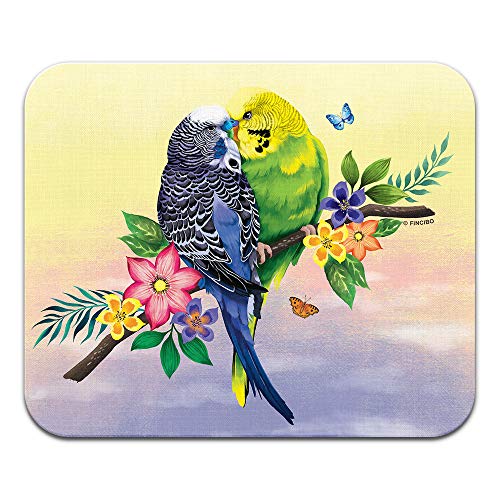 Budgie Parakeet Lovebird