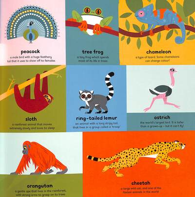 Ben Newman: My Very First Book of Everything Animals - Fun Early Learning Picture Book for Toddlers & Preschoolers | Perfect for Storytime, Bedtime Reading & Classroom Education