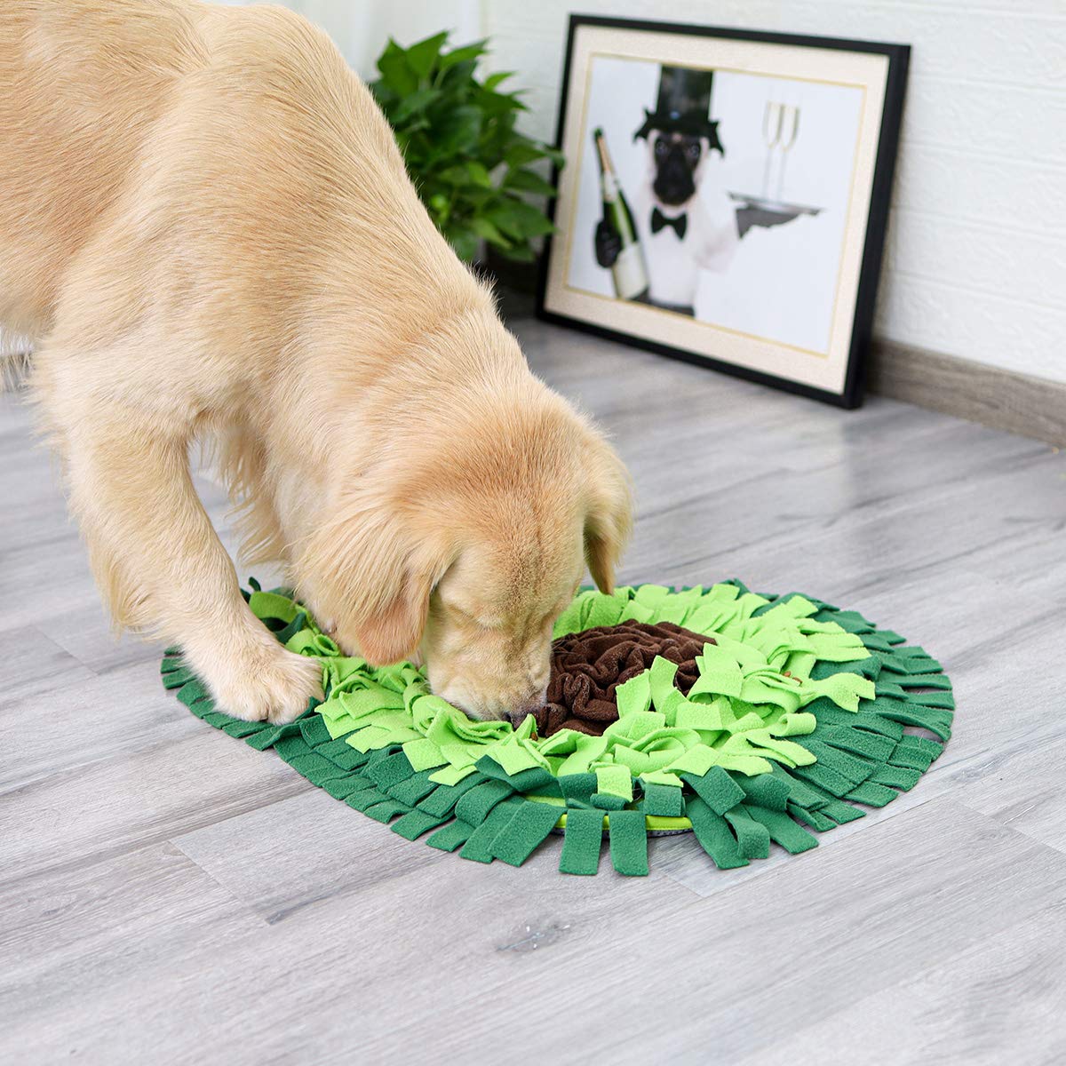 Durable Dog Snuffle Mat - Slow Feeding Pad for Pet Nosework Training & Mental Stimulation | Encourages Natural Foraging Skills, Interactive Puzzle Toy for Dogs | Perfect for Stress Relief, Mealtime Enrichment & Indoor Play