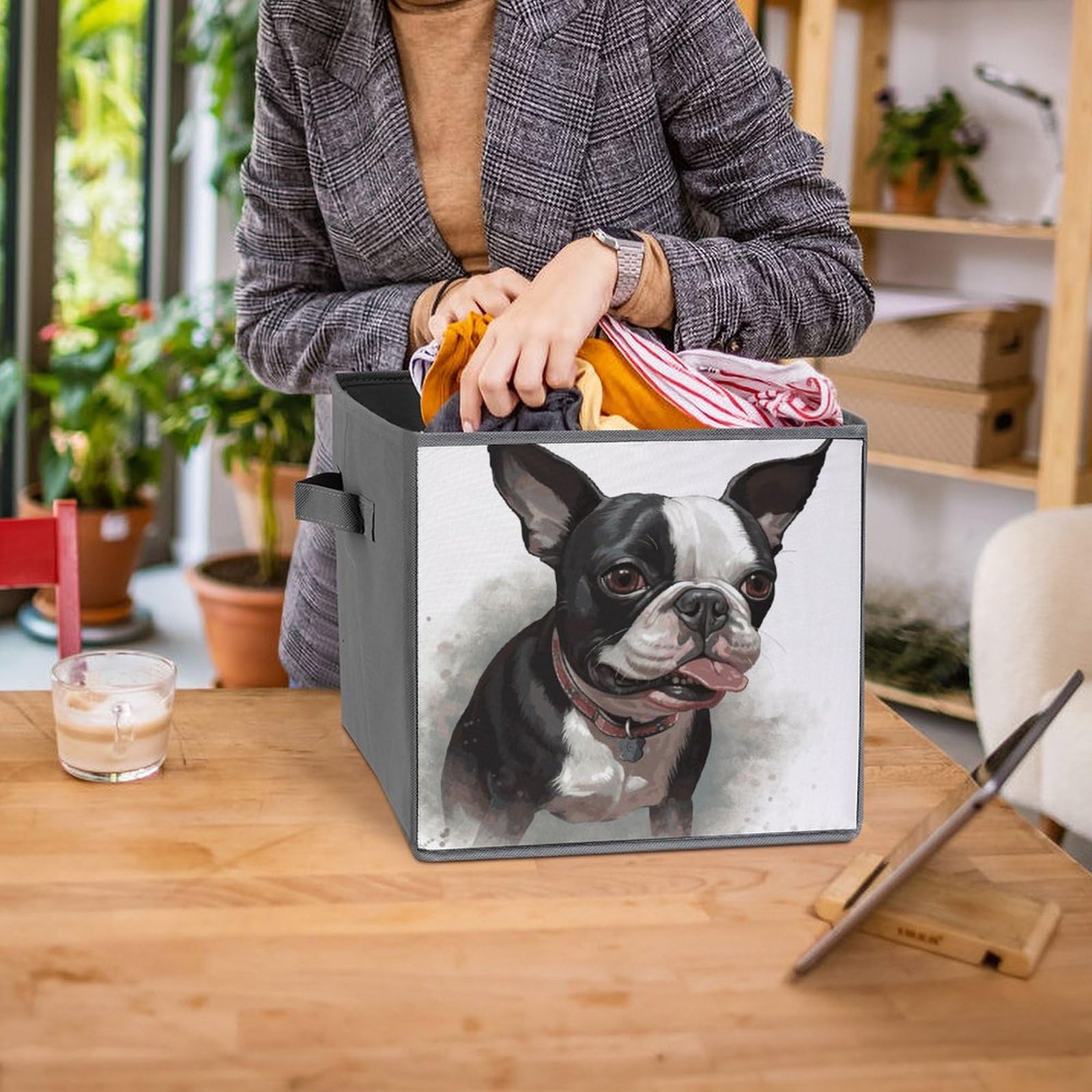 6PCS Collapsible Storage Bins with Handles - Boston Terrier Printed Foldable Storage Boxes for Shelves, Closet, Kitchen & Bathroom Organization | Multi-Purpose Storage Containers for Home, Office & Pet Supplies
