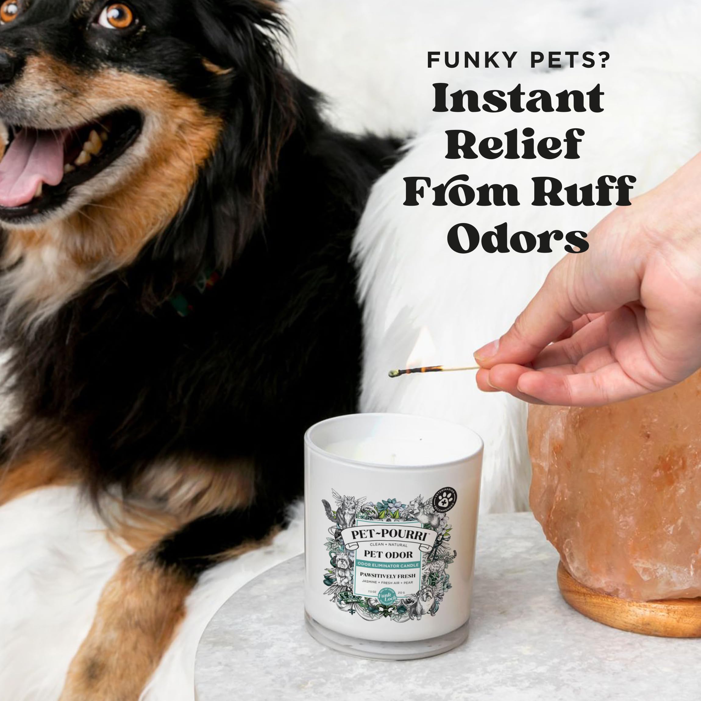 Pet Safe Deodorizer Candle - Plant Based Wax for Pet Odor - Pineapple Scent for Home & Grooming