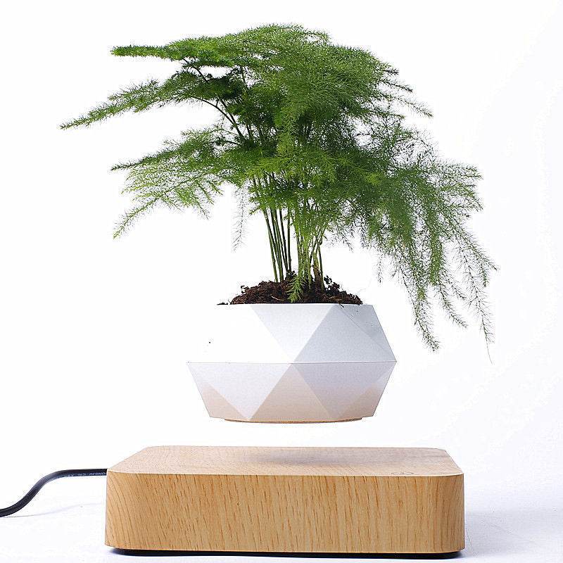 Floating Bonsai Planter - Levitating Magnetic Plant Pot for Home & Office Decor | Perfect for Zen Gardens, Desk Decorations & Unique Gifts