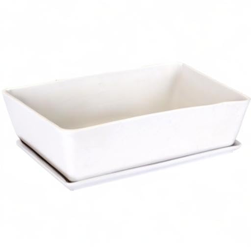 BambooMN White Ceramic Succulent Planter Pot with Drainage Tray - 10.1 Inch Short Rectangle Flower Pot for Indoor Plants, Home Decor, Office Desk, and Garden Succulents