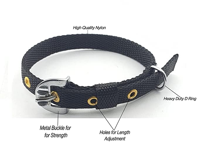 **Pups&Pets Heavy Duty 5ft Stainless Steel Dog Leash with Adjustable 12-16 Inch Nylon Collar – Non-Toxic, Durable Combo for Small & Medium Dogs (Black) – Perfect for Walking, Training & Outdoor Adventures**