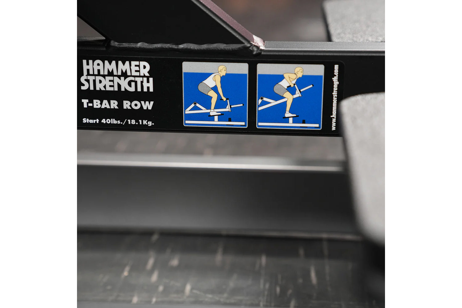 Hammer Strength Plate Loaded T-Bar Row Machine - Heavy Duty Home Gym Equipment for Back Workouts - Perfect for Strength Training & Muscle Building in Home Gym or Commercial Fitness Center