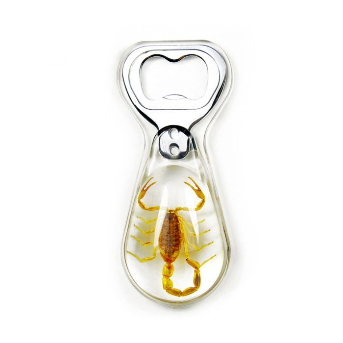 Real Golden Scorpion in Acrylic Bottle Opener - Unique Collectible & Conversation Starter for Home Bar, Man Cave, or Gift for Scorpio Zodiac Fans