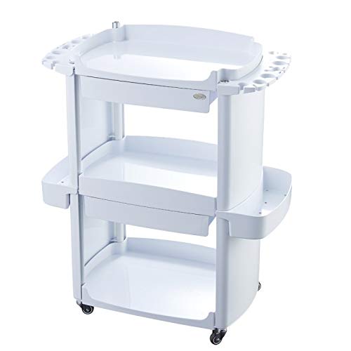 Professional Esthetician Cart for Spa & Salon - Beauty & Medical Storage Cart with Wheels - Perfect for Facial Treatments, Waxing, and Massage Therapy