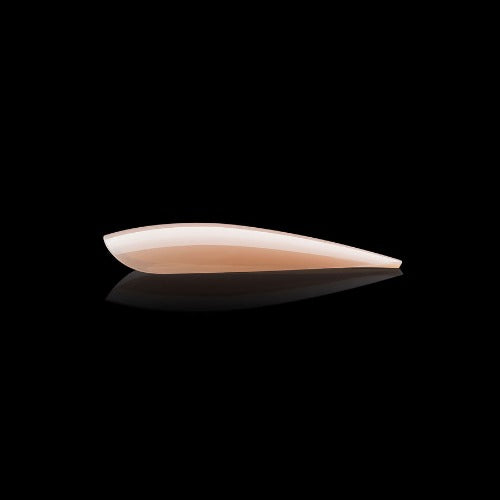 Apres Gel X Neutrals Alex Natural Tips 150pc - Long Stiletto Nail Extensions for Salon & DIY Manicure | Perfect for Weddings, Parties & Special Occasions