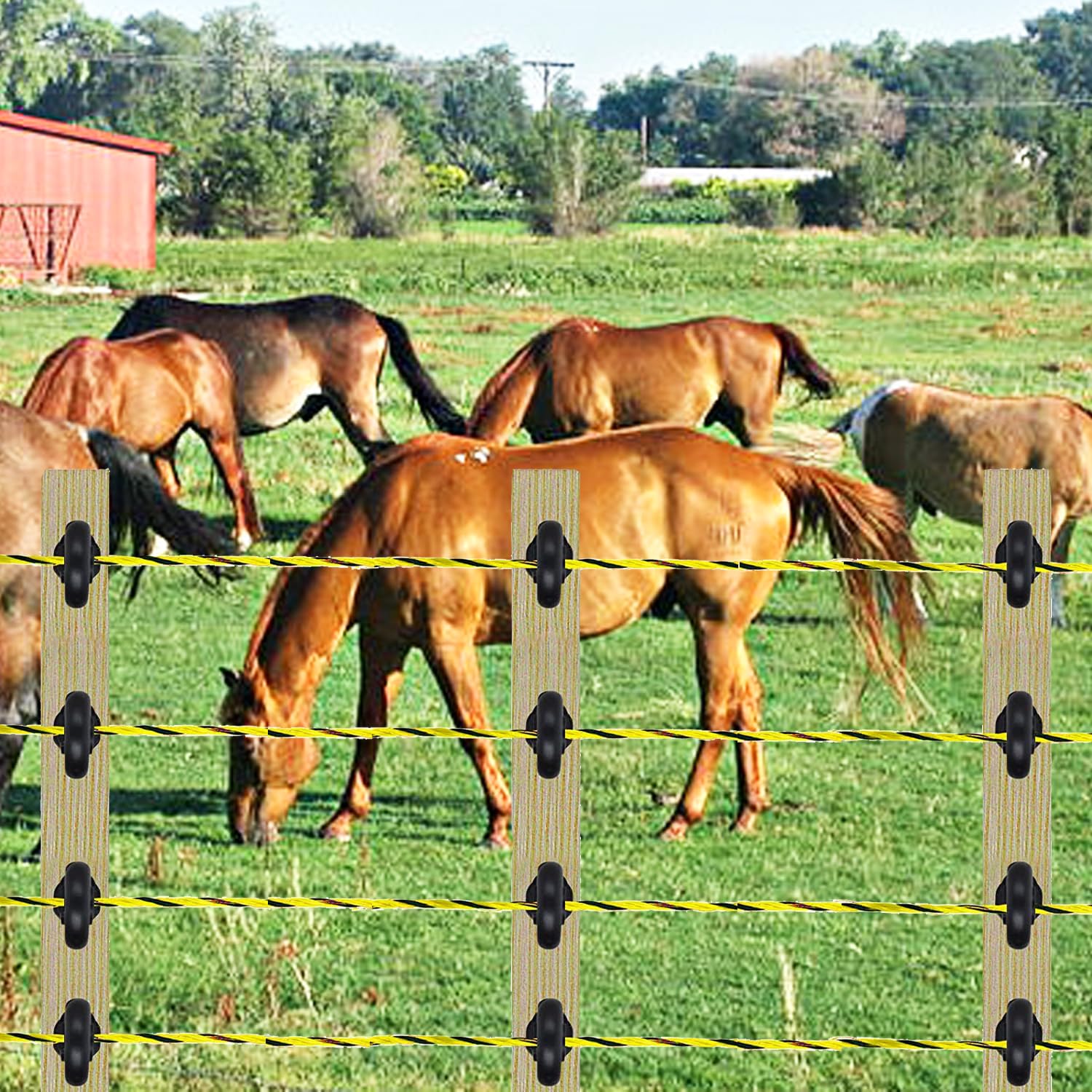 330 Feet Electric Fence Polywire - 1/8