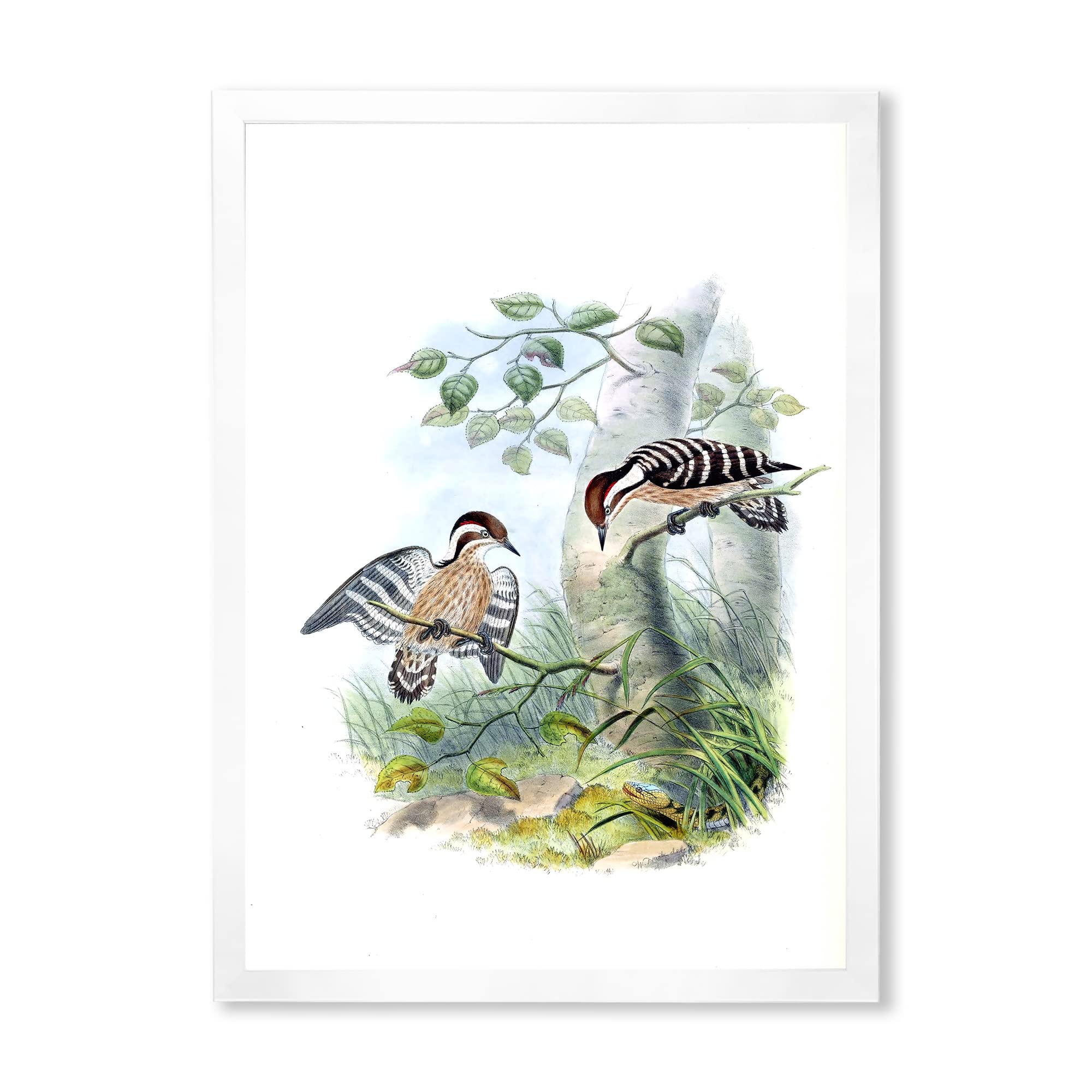 Vintage Birds in the Wild Traditional Framed Wall Art - Nature Inspired Home Decor for Living Room, Bedroom & Office