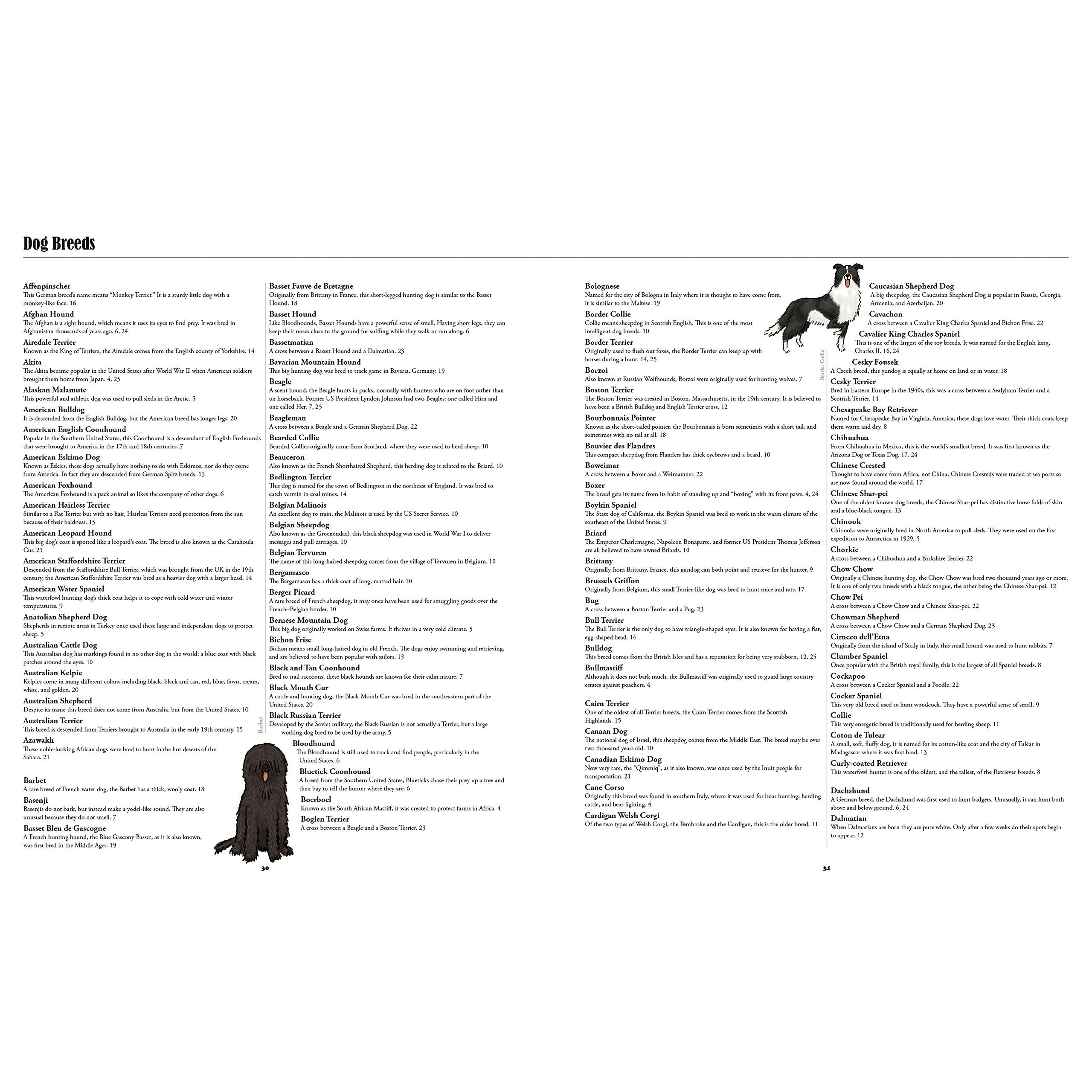 Big Dogs, Little Dogs: The Ultimate Visual Guide to Dog Breeds Worldwide - Perfect for Pet Lovers & Breed Identification