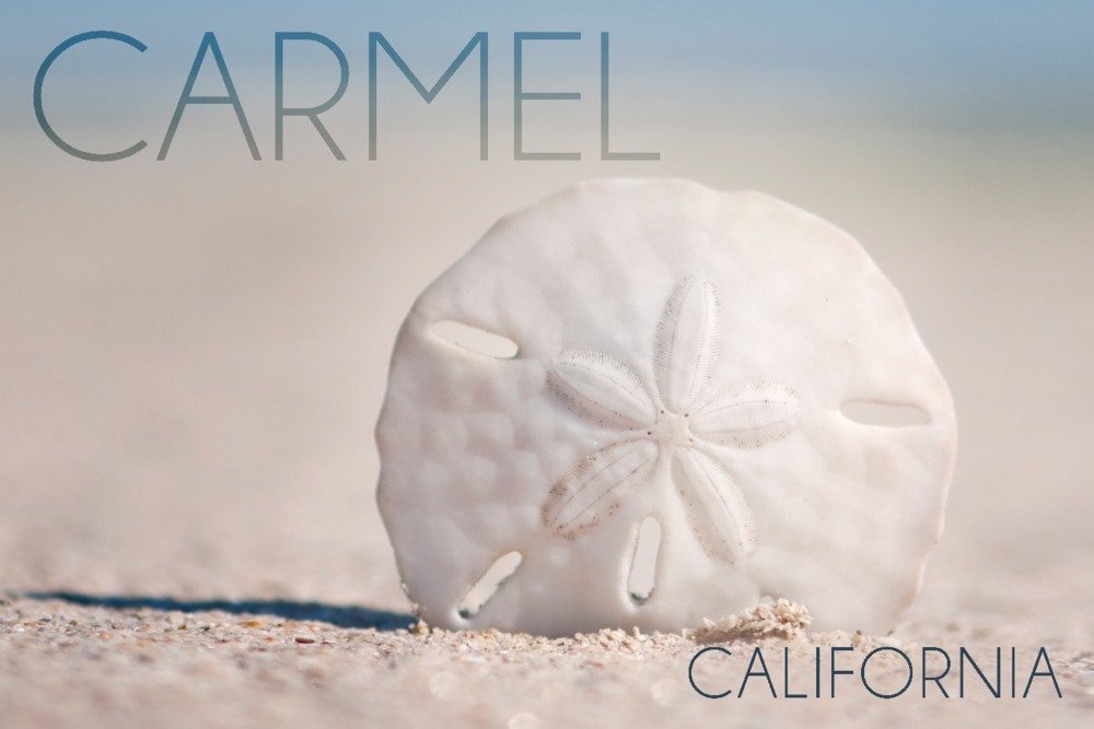 Carmel California Sand Dollar Beach Wall Art - 24x36 Gallery Quality Metal Print, Aluminum Decor for Coastal & Nautical Home Decor