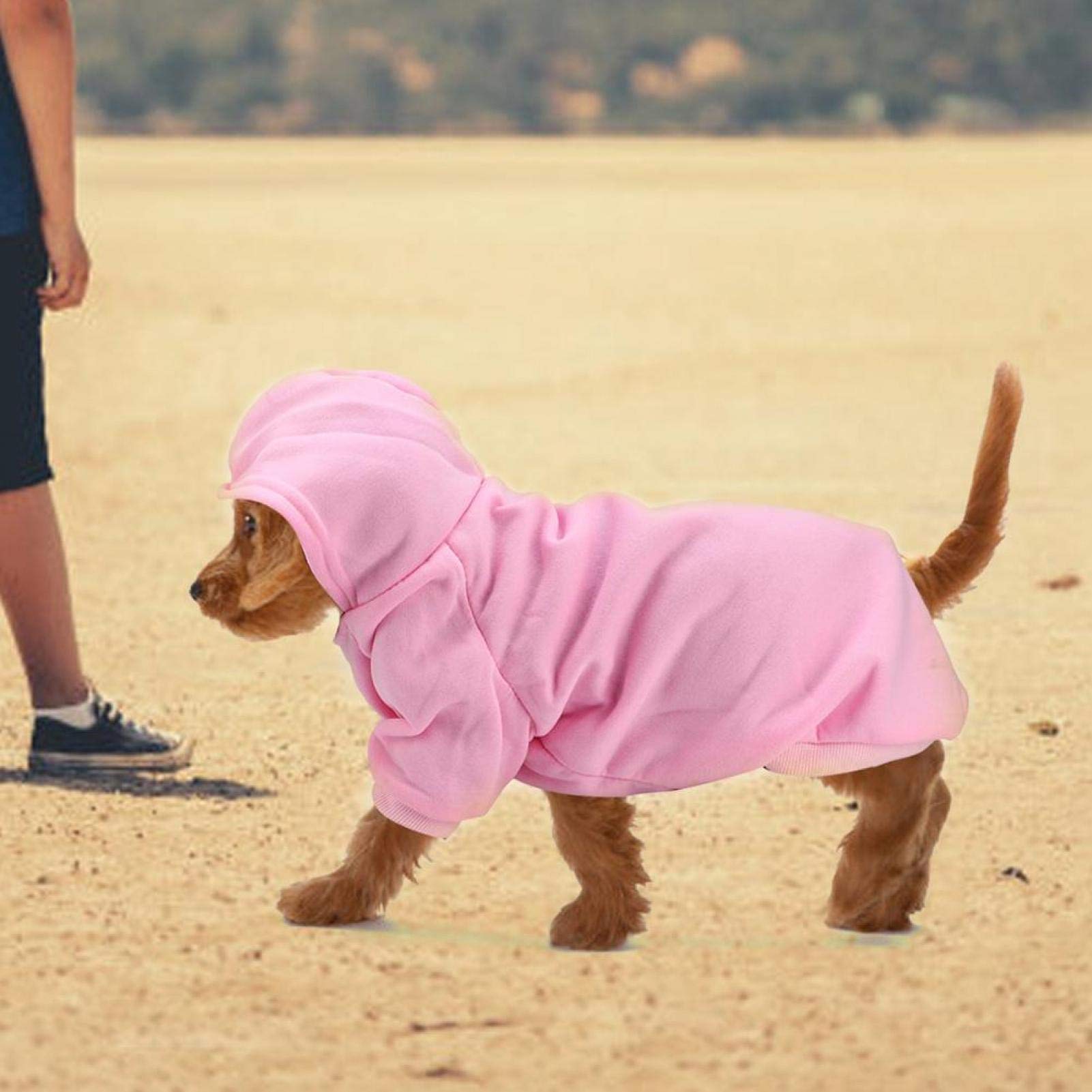Polyester Pet Dog Hoodie - XXL for Outdoor Walks
