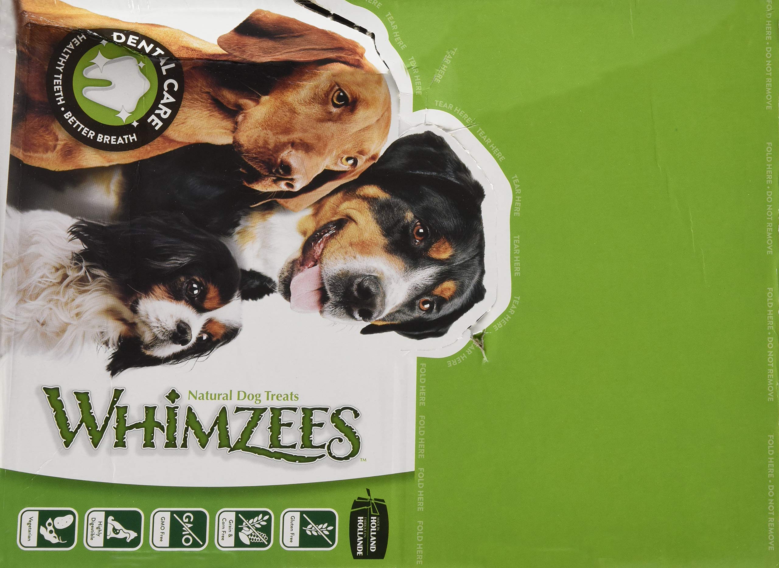 PARAGON 154101 Whimzees Natural Dental Chews for Dogs - 150-Count Small Toothbrush Star Dog Treats for Teeth Cleaning & Fresh Breath | Perfect for Small Breed Puppies & Adult Dogs