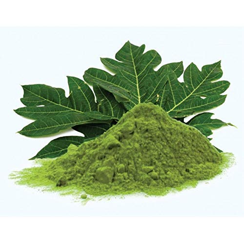 Organic Papaya Leaf Powder 200g (2 x 100g Packs) - Herbal Fresh Carica Papaya Leaf Supplement for Digestive Health, Skin Care & Immunity Boost - Perfect for Smoothies, Teas & Natural Remedies