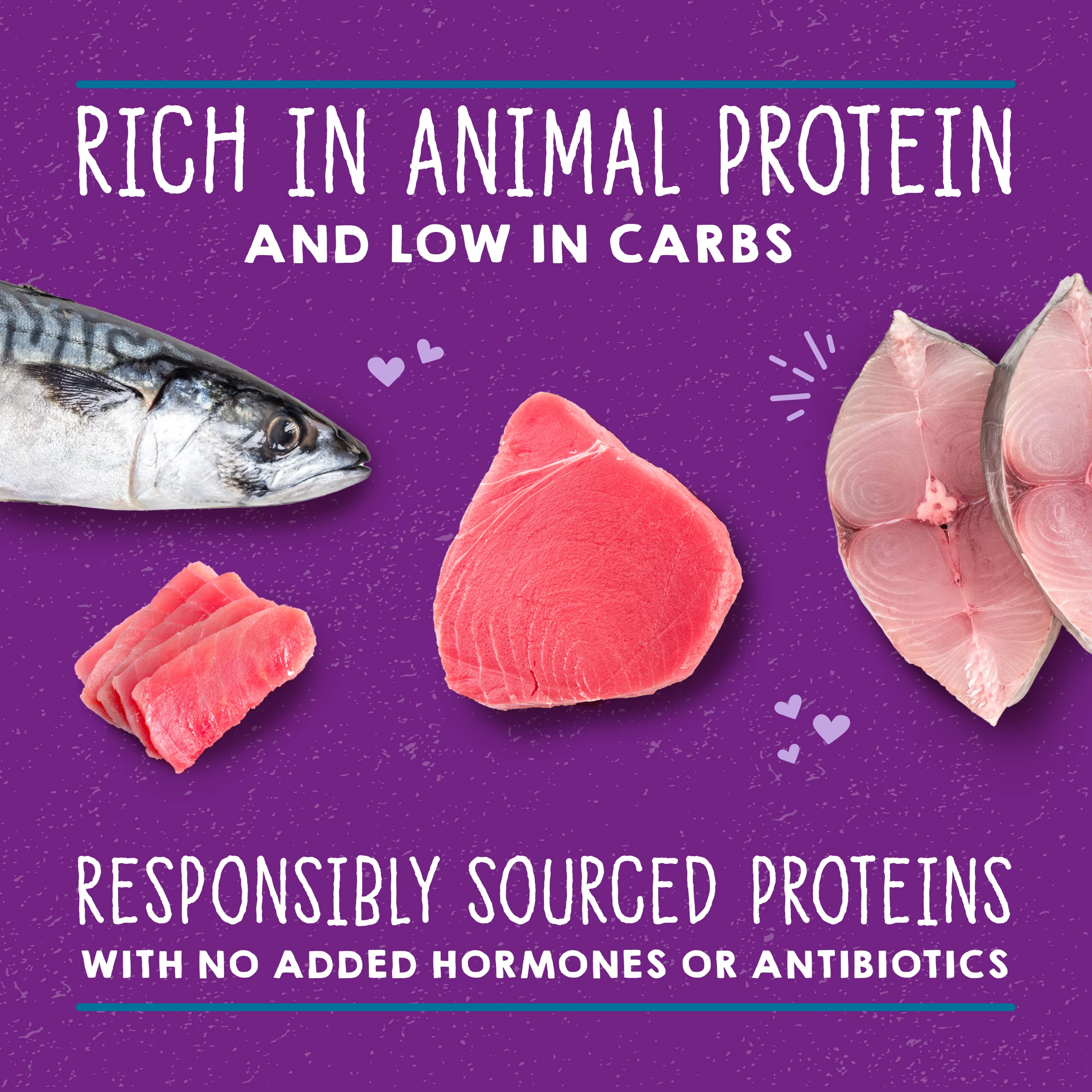 Stella & Chewy's Grain-Free Protein Rich Wet Cat Food - Wild-Caught Tuna & Mackerel Recipe in 2.8oz Cans (Pack of 24) | High Protein Cat Food for Adult & Senior Cats | Perfect for Picky Eaters & Mealtime Enrichment