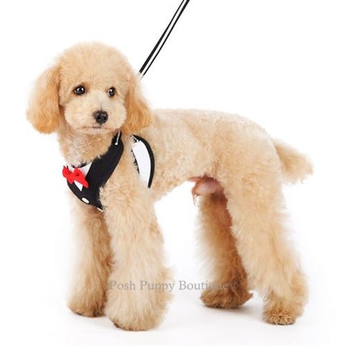 EasyGO Adjustable Step-in Dog Harness with Bowtie - Perfect for Small & Medium Dogs, Walking, Training & Outdoor Adventures