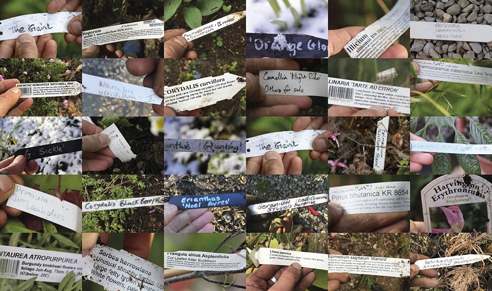 Beautiful Obsession: Jimi Blake's World of Plants at Hunting Brook Gardens - Gardening Inspiration & Rare Plant Collection for Home & Landscape Design