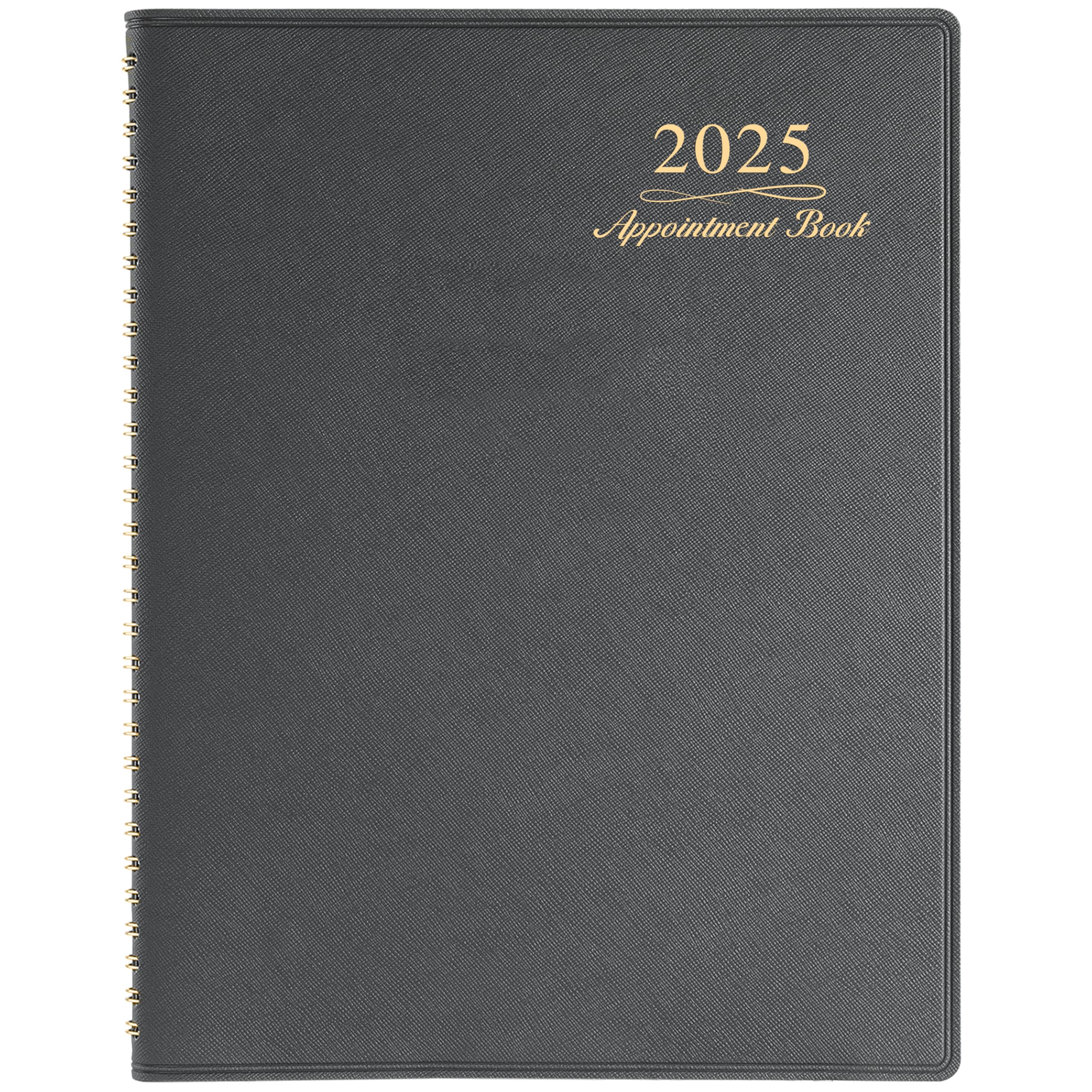 2025 Weekly Appointment Book Planner - Jan 2025 to Dec 2025 Daily/Hourly Organizer with Tabs, 15-Minute Time Slots, 8.26