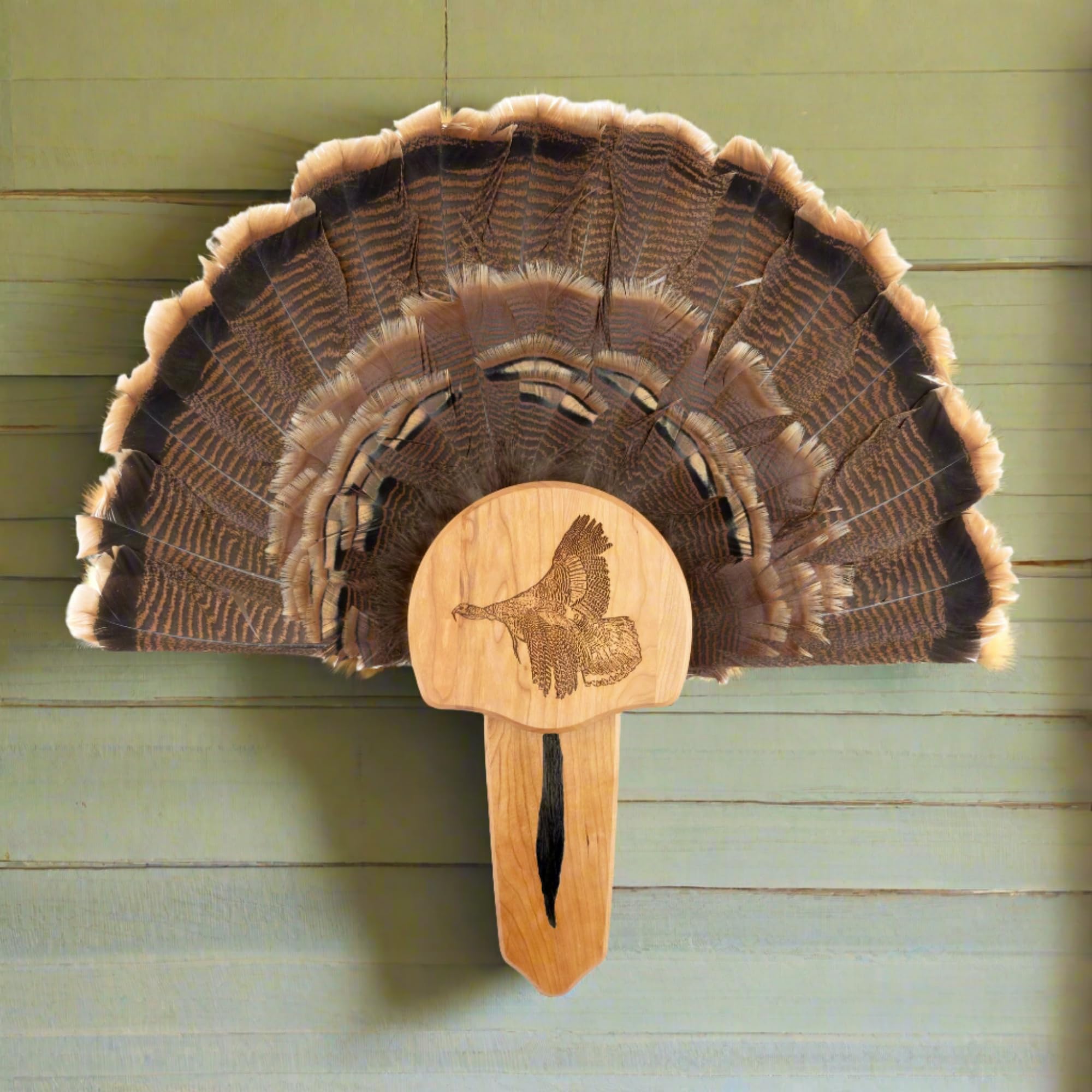 Turkey Fan Mount with Display Kit - Premium Taxidermy Display for Hunting Trophies & Home Decor | Perfect for Hunting Lodges, Cabin Decor & Outdoor Enthusiasts