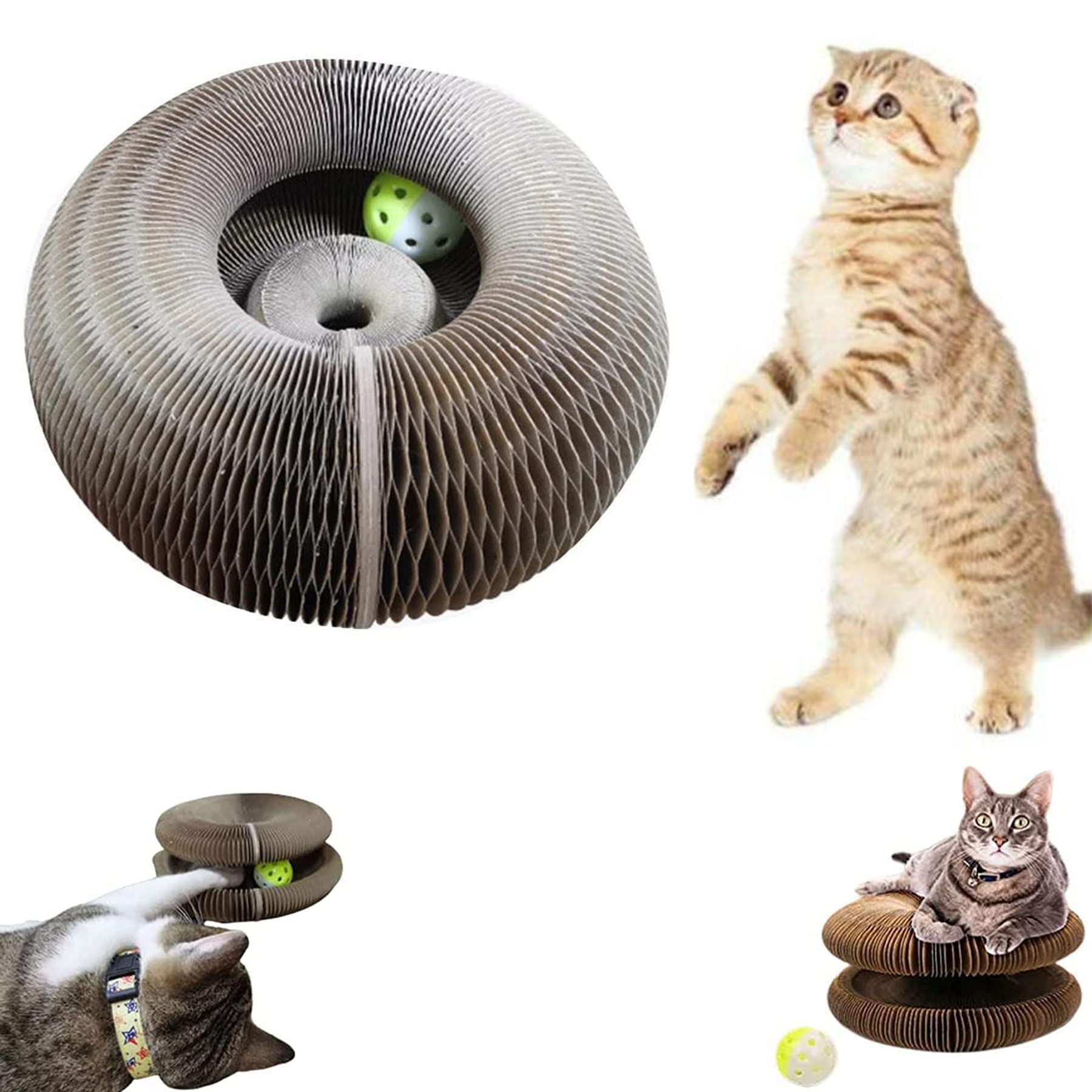 ZJIEX Magic Organ Foldable Cat Scratching Board - Interactive Cat Toy with Bell Ball | Durable & Recyclable Cat Scratcher for Claw Grinding | Perfect for Indoor Play, Training & Stress Relief