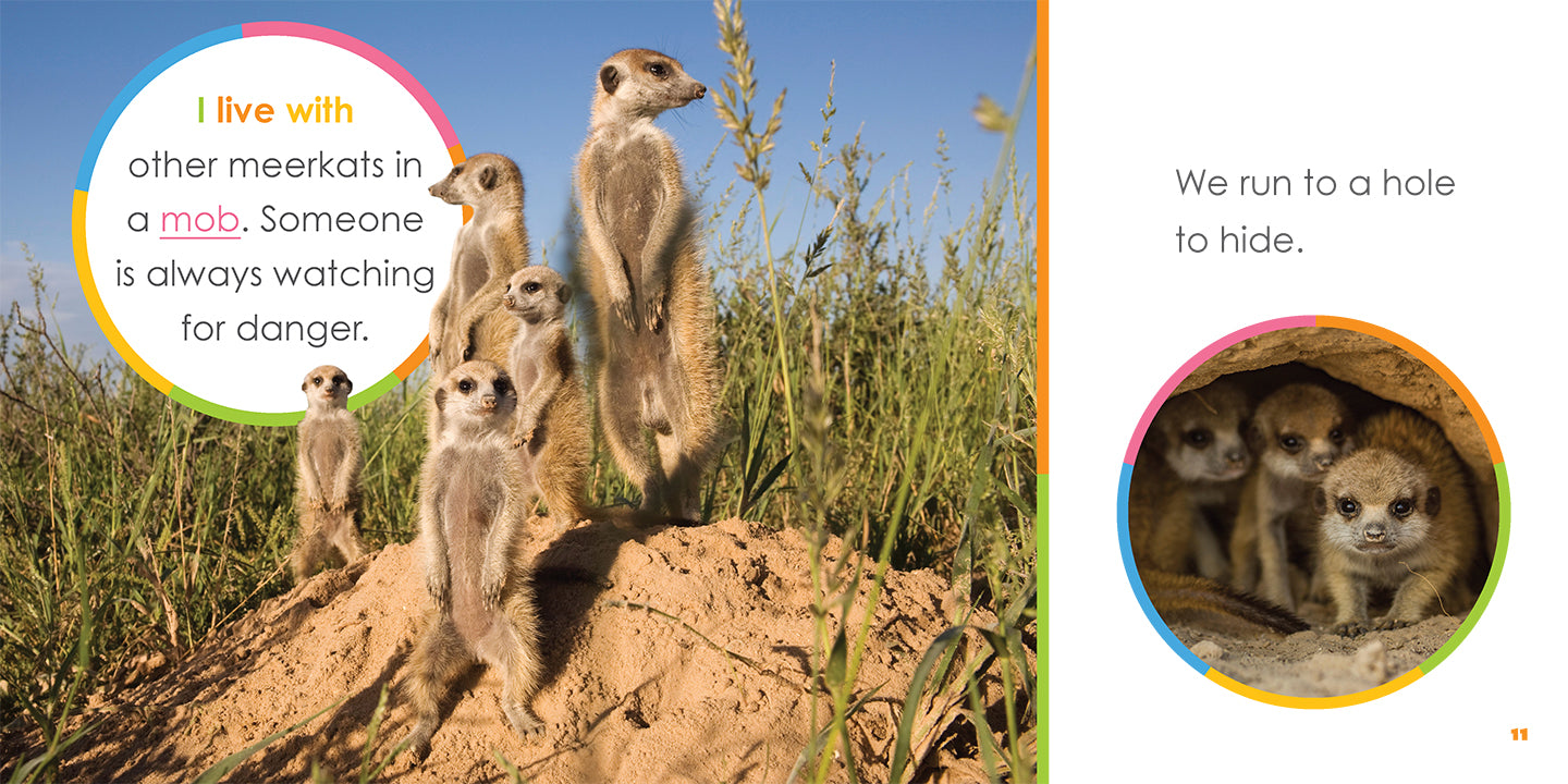 Baby Meerkats Book - ISBN 9781640263505 - Fun Animal Story for Kids, Perfect for Bedtime Reading & Early Learning